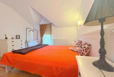 Casa de inchiriat-Braytim Timisoara - 9