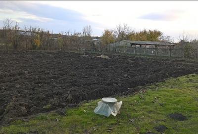 Casă în Furculești - 1