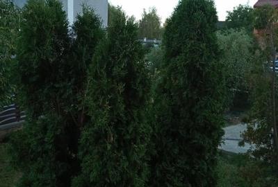 Închiriez vila in Bucium, spate Bellaria,str.Fermei - 6