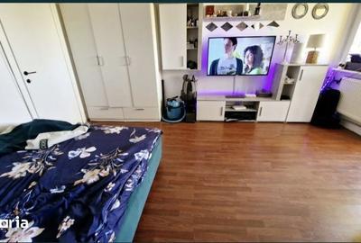 Garsonieră în Brazda lui Novac - 3