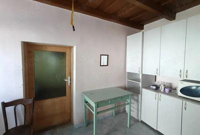 Vand casa in satul Derni?oara,jud. Bihor - 4