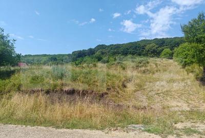 Teren de vanzare 750 mp, zona ICAR - 2 parcele disponibile Teren de vanzare 750 mp, zona ICAR - 2 parcele disponibile - 2