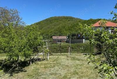 Teren de 756 mp, în Măgura - 6