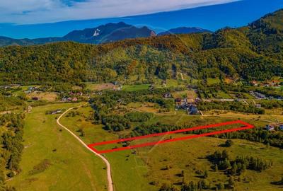 Teren agricol extravilan de 4253 mp, în Glăjărie - 5
