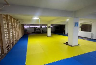 Spațiu comercial, de 185 mp, în Central - 1