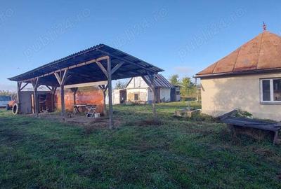 Casa + gospodarie la Silagiu Buzias - 6