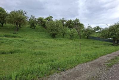 Teren de 1150 mp, în Mihai Viteazu - 1