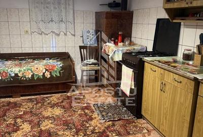 Casa individuala cu teren mare in Remetea Mare - 8