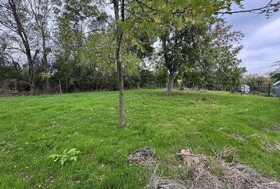 Spațiu comercial, în Bolintin-Deal - 2