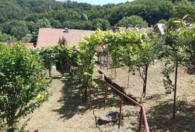 Casă cu Teren 1803 Mp în Anina - 19