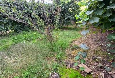 Casa deosebita stil clasic si modern  de vanzare - 20