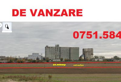 Teren de 50000 mp, în Cataloi