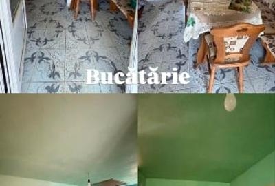 Casă individuală cu 3 camere cu Teren 2319 Mp în Sacoșu Mare - 8