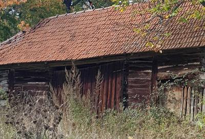 Casă cu 2 camere în Negreni - 3