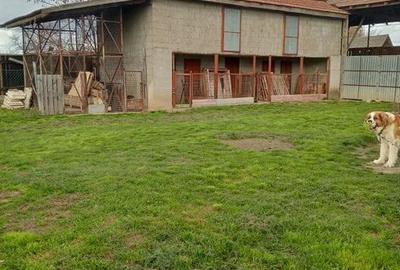 Casă cu 5 camere în Central - 4