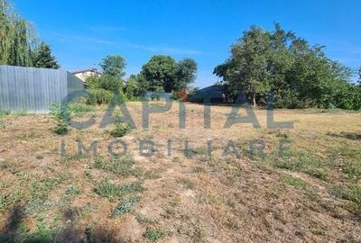 Teren Intravilan 6017 mp pentru Constructii Case Individuale, Duplexuri, Blocuri - 6