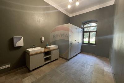 Spatiu de birou de inchiriat Calea Aurel Vlaicu - 7