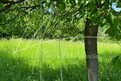 Teren de 1740 mp cu casa intabulata in PH-Provita de Sus - 5