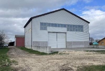 Hale , teren depozitare / productie , acces TIR - 2