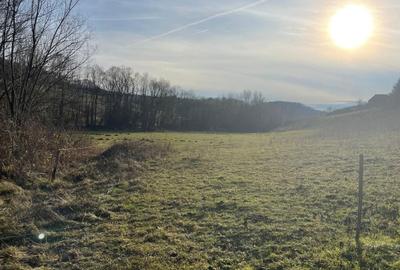 Spațiu comercial, în Vârciorog - 6