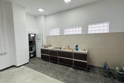 Hala industriala Sos Alexandria stradala 350 mp, 1200 mp parcare - 9