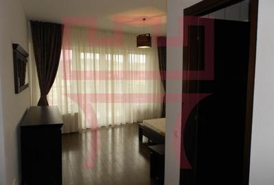 Inchiriere apartament 4 camere recent renovat in Plopilor Vest + garaj - 6