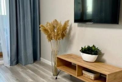 Garsonieră în Tineretului