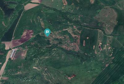 Teren agricol extravilan de 1950000 mp, în Cincu - 1