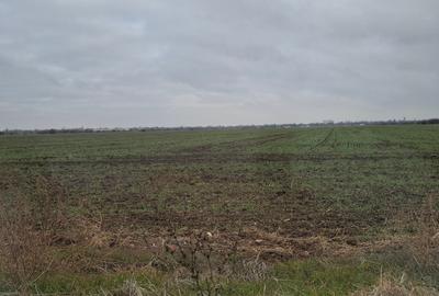 Teren agricol intravilan de 530 mp, în Copăceni