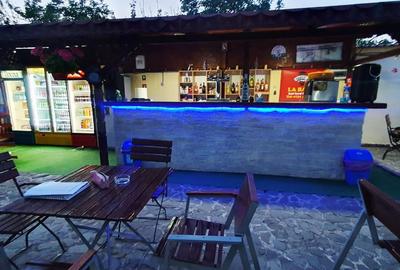 Casă + Afacere + Relaxare = Investiția Perfectă, in Cioranii de Jos - 50