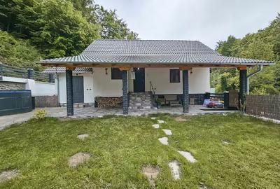 Casă de vânzare/ casă de vacanță sat turistic Suncuius Oportunitate de afaceri - 2