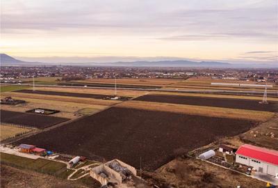 Film!Potential rezidential investitional, 5.000 mp intravilan,priveliste Muntii Bucegi,Stupini, Bras - 2