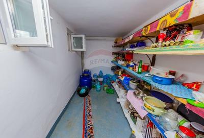 Casă individuală cu 5 camere cu Teren 1133 Mp în Satu Nou de Jos - 23