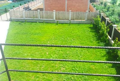 Palatul din Dobreni-5 Camere-La Bulevard-Teren 800mp-Apa Curenta-Comuna Dobreni - 16