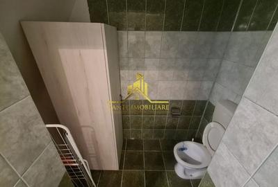 Casa individuala, curte, parcare,mobilata modern, Grigorescu, BT Arena - 19