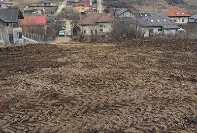 Spațiu comercial, în Dorobanț - 5