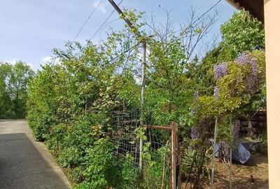 Casă cu 3 camere cu Teren 586 Mp în Central - 13