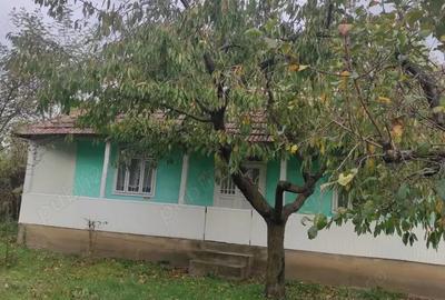 Casa si teren 2100 m2, 25000 euro - 6