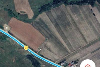 Teren de 35000 mp, în Exterior Vest - 2