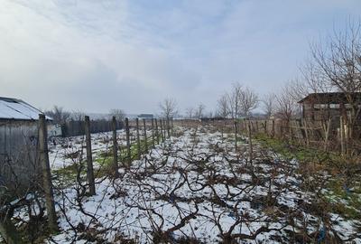 Vanzare casa cu teren de 3817 mp, com.Tulucesti, jud.Galati, deschidere la DN26 - 16