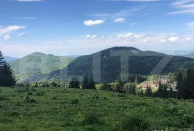 Teren de 10000 mp, în Central