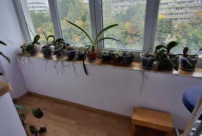 Apartament 4 camere de vanzare Lujerului (3 minute de Metrou-Bloc Anvelopat) - 19