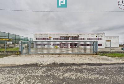 Hală de producție, cu birouri și teren, în Sebiș - 47