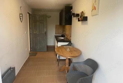 Casa de vanzare Probota - 9