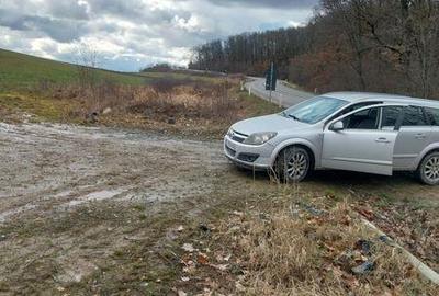 Teren de 5800 mp, în Crișeni - 6