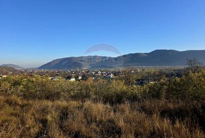 Teren 6,874mp Alexandru cel Bun / Strada plopusor - 14