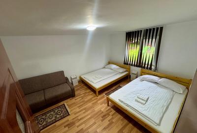 Casa individuala cu teren de 3823mp - 10
