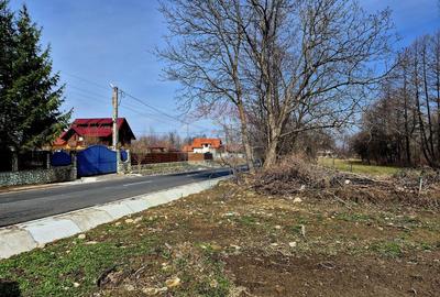 Comision 0 %/ Teren extravilan 3197 mp pitoresc/ Fagaras - 4