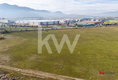 Vanzare teren 5337 mp Bartolomeu zona CATTIA - 3