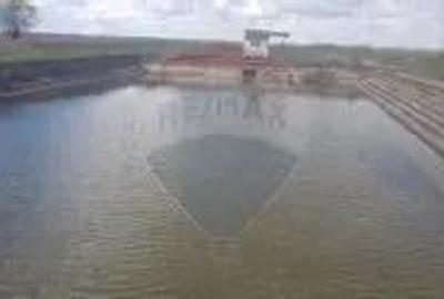 Hotel / Pensiune Vraja Crasnei Moftinu Mic DN19 - 7